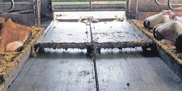 Harnrinne und Entmistungsschieber im Laufstall von Daniel Waser, Dierikon LU. Er empfiehlt, den Schieber regelmässig laufen zu lassen. Das verbessert auch die Klauengesundheit.  (Bild Markus Spuhler)