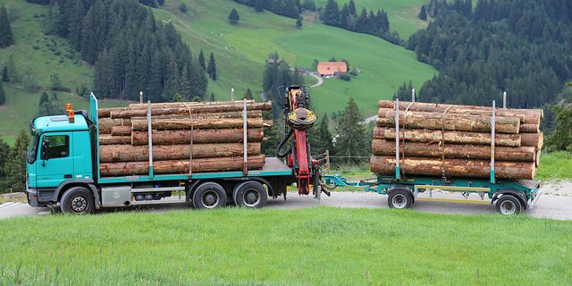 Der Wald dient nicht nur zur Holznutzung, sondern ist vielen weiteren Ansprüchen ausgesetzt. (Symbolbild Michael Wahl, LID)