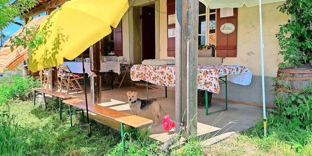 Für den nichtlandwirtschaftlichen Nebenbetrieb darf keine Person angestellt werden, die überwiegend dafür tätig ist, sonst droht Entzug der Bewilligung.