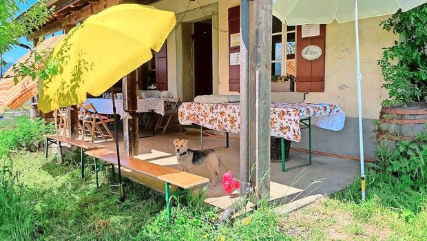 Für den nichtlandwirtschaftlichen Nebenbetrieb darf keine Person angestellt werden, die überwiegend dafür tätig ist, sonst droht Entzug der Bewilligung.