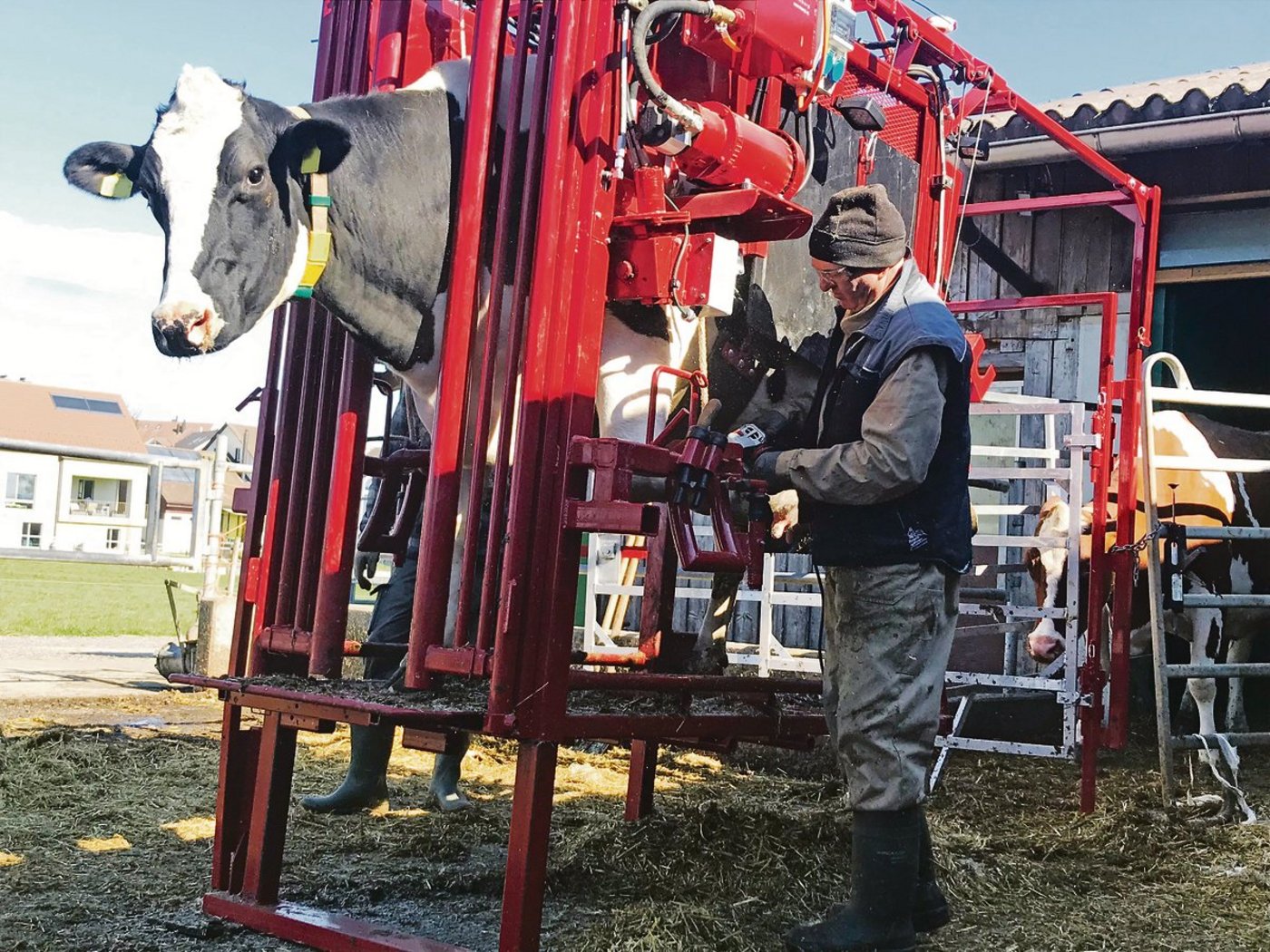 Besonderheiten des modernen, mobilen Klauenstands sind die hydraulische Hebevorrichtung mit Bedienung sowie die integrierte Fangbox. (Bilder Alexandra Stückelberger)