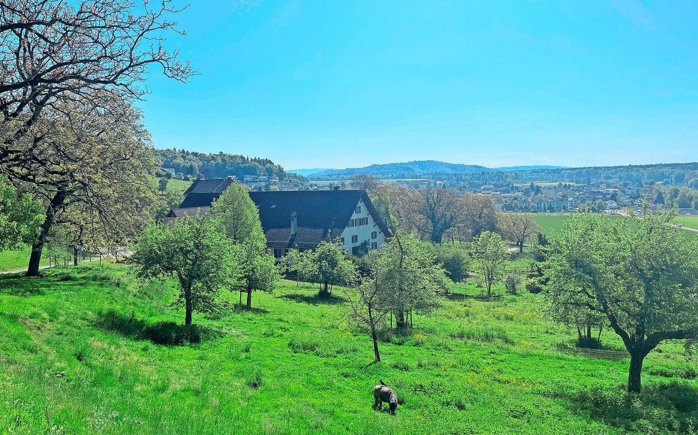 Der Gutsbetrieb vor dem Schloss Wildegg ist idyllisch gelegen. Das bedeutet aber auch, dass viele Wanderer über den Hausplatz spazieren.