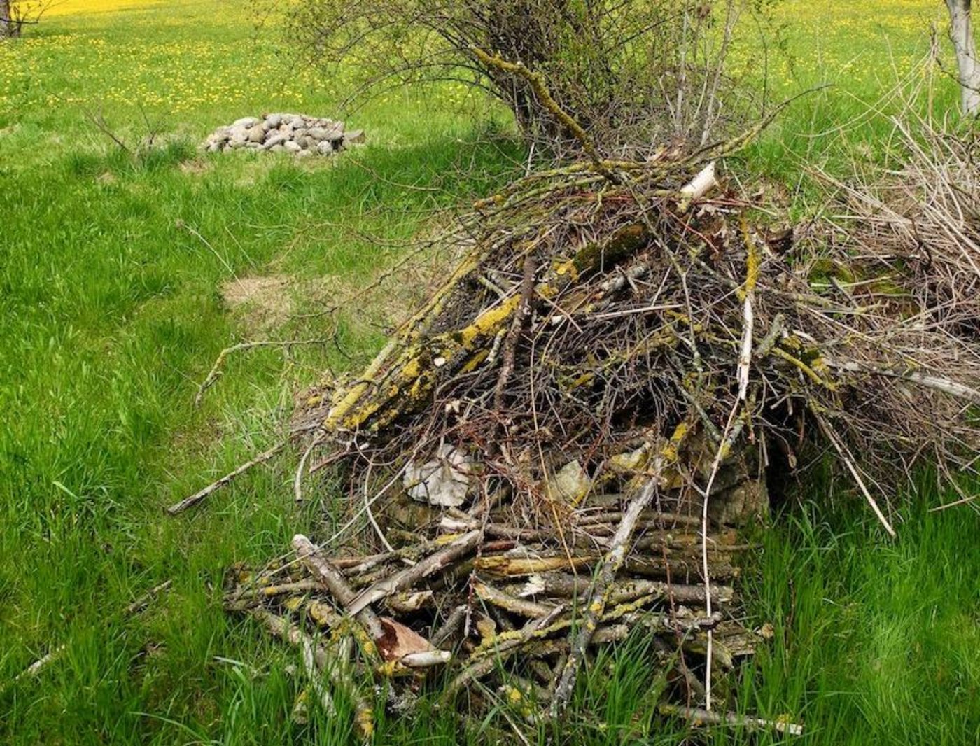 Strukturelemente wie Ast- oder Steinhaufen bieten Insekten und anderen Tieren Unterschlupf. (Bild Markus Jenny)