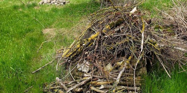 Strukturelemente wie Ast- oder Steinhaufen bieten Insekten und anderen Tieren Unterschlupf. (Bild Markus Jenny)
