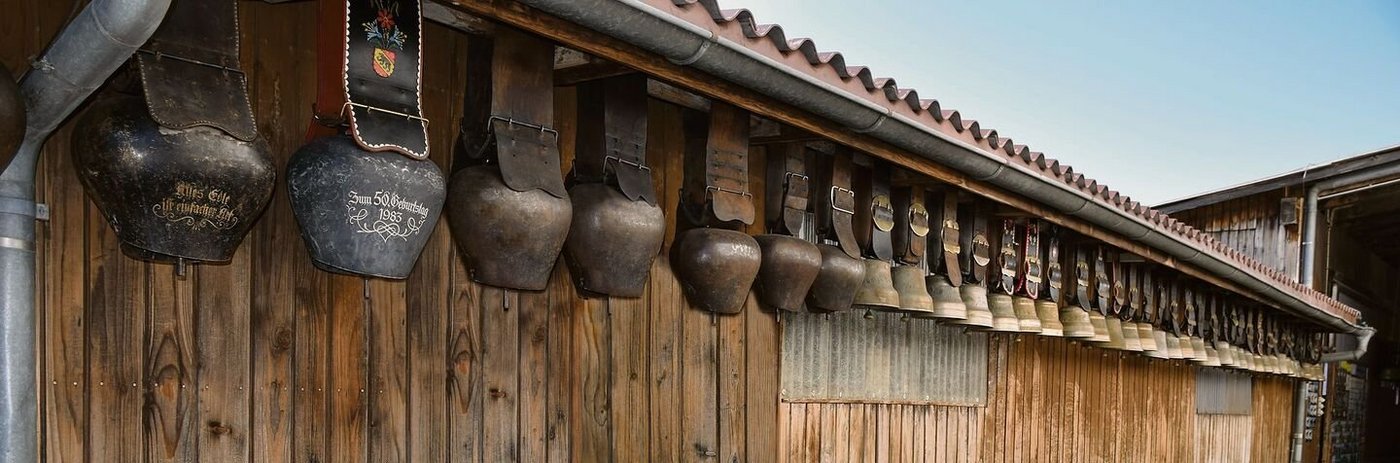 Im Sommer geht der ganze Viehbestand auf die Alp. Beim Alpaufzug darf das Glocken- und Treichelgeläut nicht fehlen.