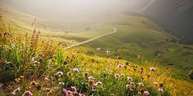 Die SAB begrüsst die neue Definition für Berggebiete des Bundesamts für Statistik. (Bild Pixabay)