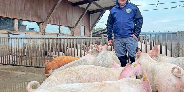Tierhalter aus Leidenschaft: Alain Bütler im Auslauf des 2012 erbauten Stalls für 600 Mastschweine.