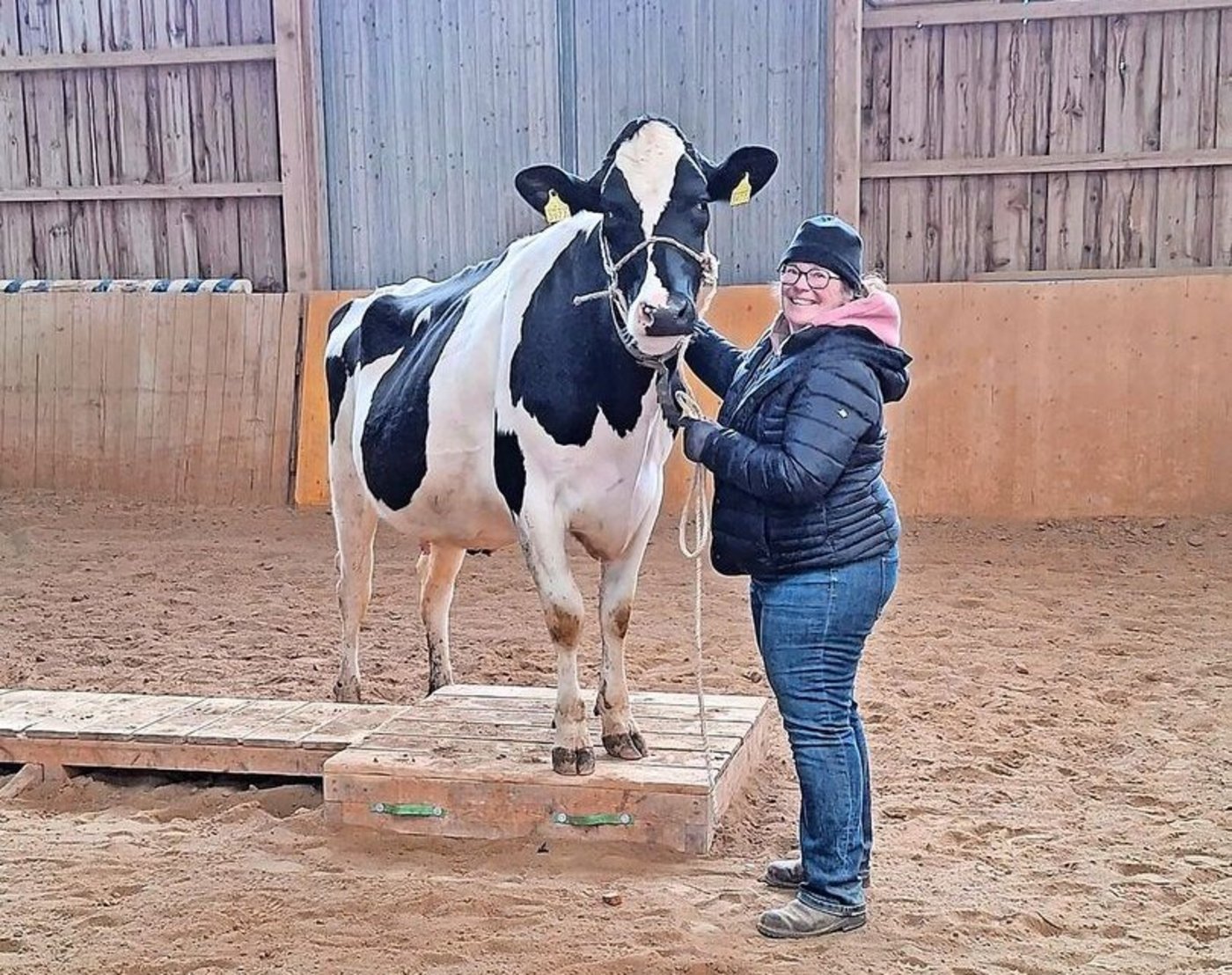 Sascha Moser mit Felicia am Extreme-Trail-Kurs.