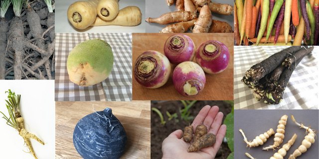 Scharf, Süsslich, nussig, aromatisch: Der Gemüse-Winter muss nicht langweilig sein. (Bildautoren siehe Text, Montage jsc)