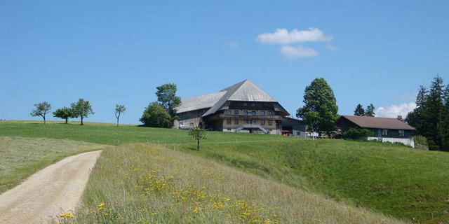 Auch in der Landwirtschaft solle verdichteter gebaut werden, so der BBV. (Symbolbild ji)