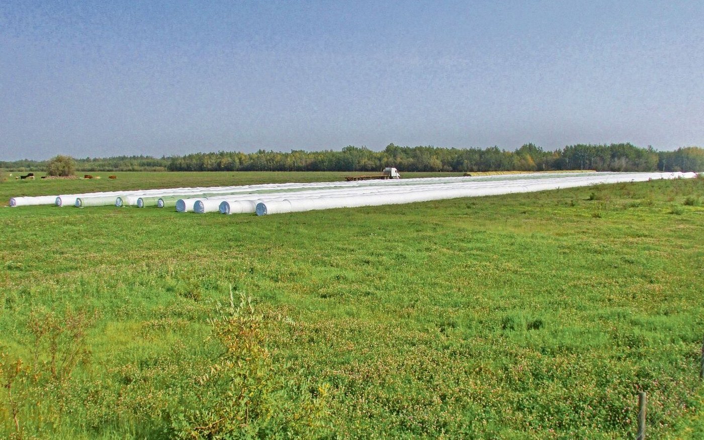Familie Ruckstuhl und die  Crew haben wacker gearbeitet. Das Heuen war wegen des schlechten Wetters schwierig, aber es konnten knapp 2500 Siloballen und rund 500 Gersten-Strohballen gemacht werden.