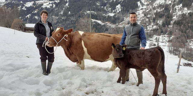 Besitzerin Marianne Wyss und Tierarzt Cagri Binici freuen sich über die erfolgreiche Behandlung der Kuh Paloma und über das gesunde Kuhkalb Papaya. (Bild pd)