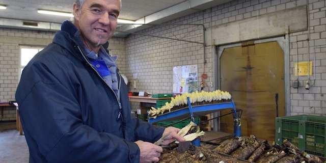 Gemüsebauleiter Markus Schumacher produziert auf dem Tannenhof Wurzel und Zapfen. (Bilder ey)