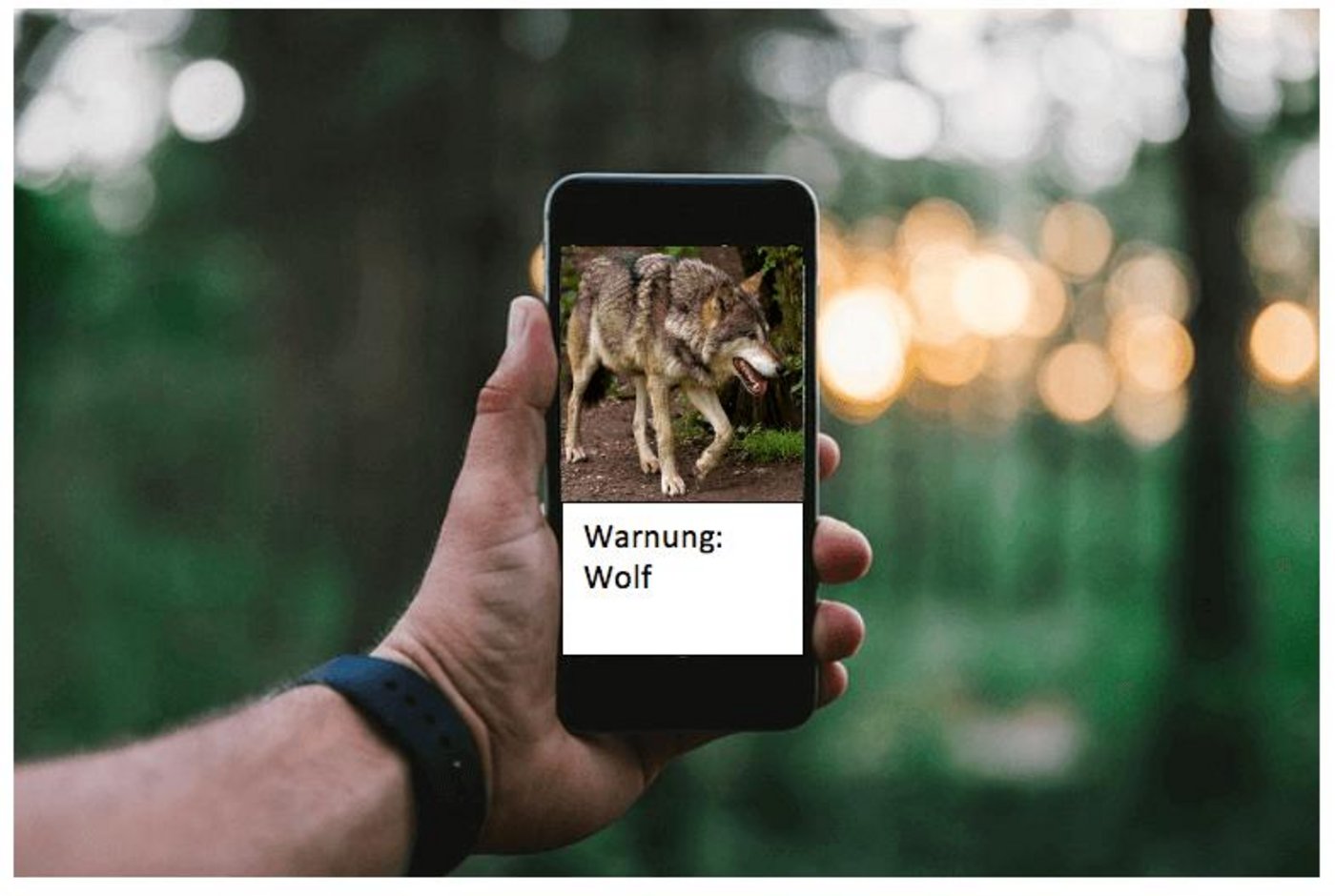 Der Berner Bauernverband bietet schon länger einen solchen Whats App Dienst an. Nun zieht der Kanton nach. (Fotomontage jsc)