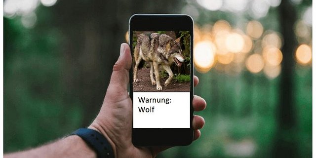 Der Berner Bauernverband bietet schon länger einen solchen Whats App Dienst an. Nun zieht der Kanton nach. (Fotomontage jsc)