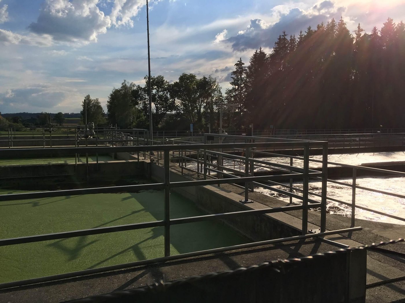 Aus der Abwasserreinigung entweicht zwar wenig gasförmiges Ammoniak, im gereinigten Abwasser hat es aber grosse Mengen Nitrat. (Bild jsc)