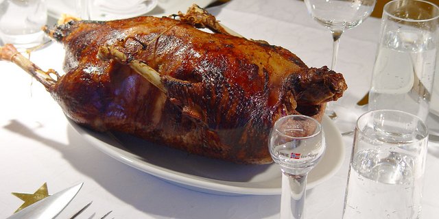 Ein beliebter Vogel an Weihnachten: Die Weihnachtsgans ist ein typisches deutsches Weihnachtsmahl. (Bild Jürgen Howaldt / Wikimedia)