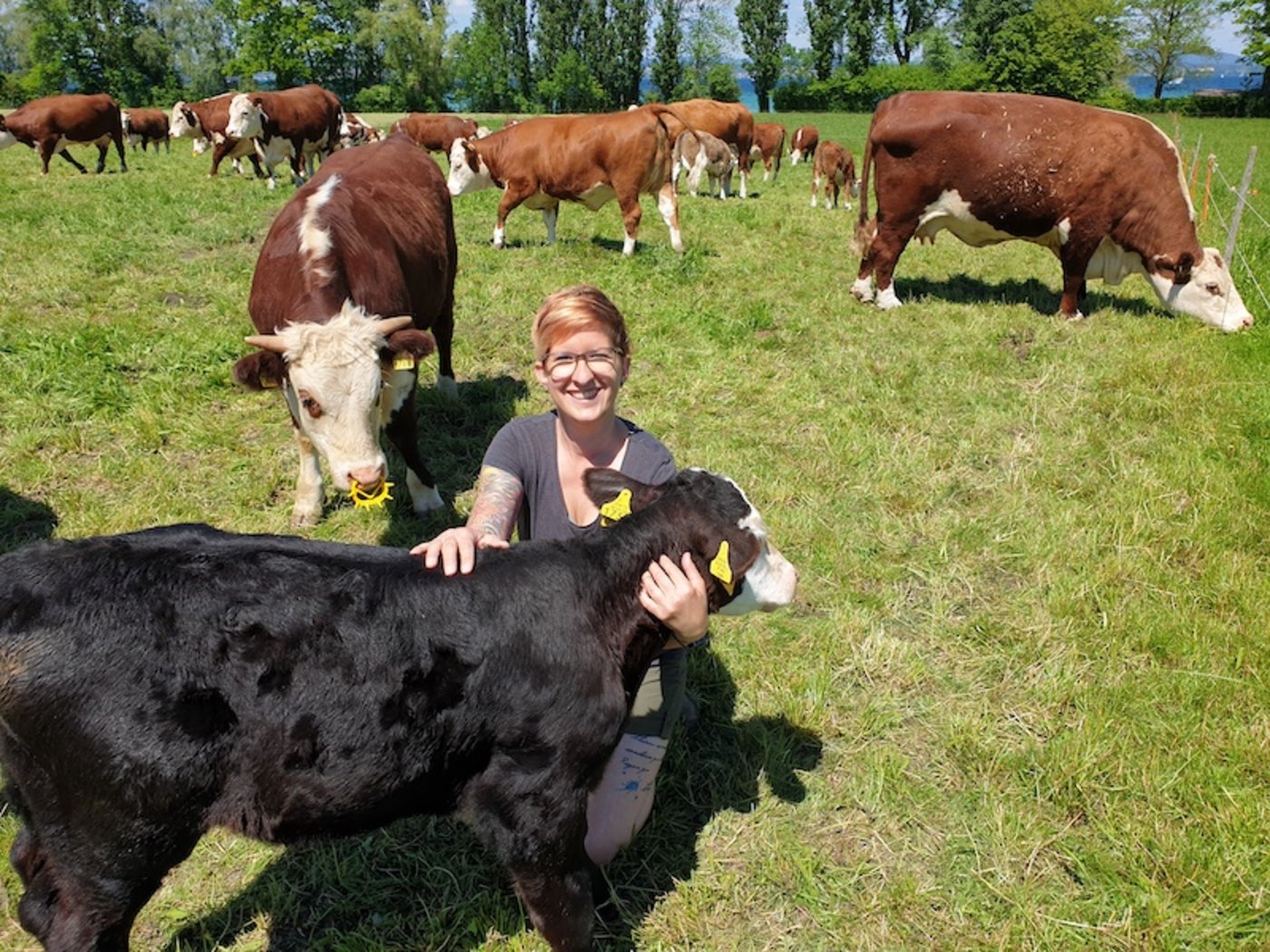Früher war ihr die Landwirtschaft fremd, durch Heirat und Familie fühlt sich Cornelia Berger heute bei ihren Hereford-Mutterkühen pudelwohl. (Bild Cornelia Berger)