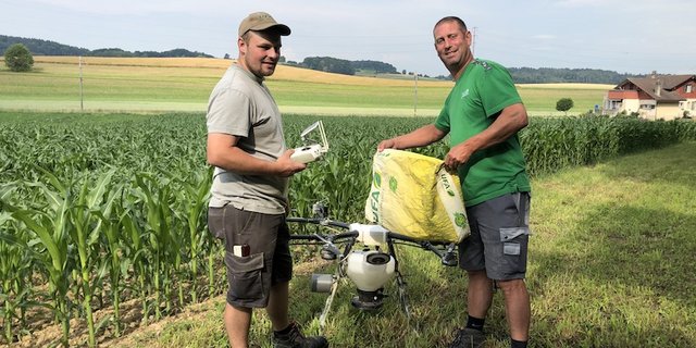 Jürg Eigenheer, Drohnenpilot (links) und Patrick Meier, Einsatzleiter Drohnen bei der Landi Marthalen, befüllen die Drohne mit Saatgut bevor sie in die Luft abhebt und die Untersaat streut. (Bilder und Video Esther Thalmann)