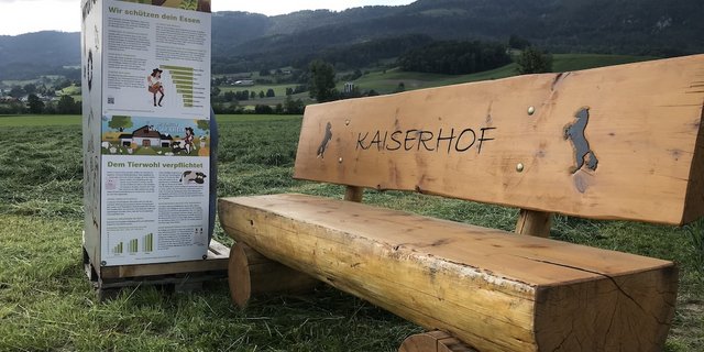 Solche Tafeln, wie sie auch der Kaiserhof in Laupersdorf SO aufgestellt hat, sorgen nun für Ärger. (Bild Christian Stark)