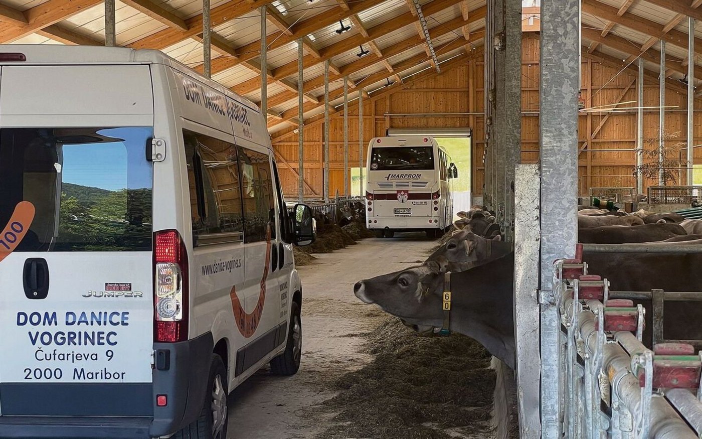 Eine Sonderanfertigung der Eingangstore war nötig, damit die Reisecars durchs Tenn fahren können. Bei der Stallarbeit am Morgen plötzlich von einer Gruppe Touristen überrascht zu werden, ist nicht ungewöhnlich.   