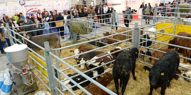 An der Suisse Tiere treffen sich die Nutztierhalter. (Bild Messe Luzern AG)