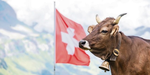 Die Swissness soll die «Herkunft Schweiz» besser schützen. (Bild Keystone)