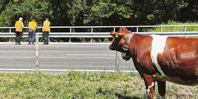 Kantonsangestellte bei der Begehung am Passwang  im vergangenen Juni. Seither ist Baustopp.(Bild sb)