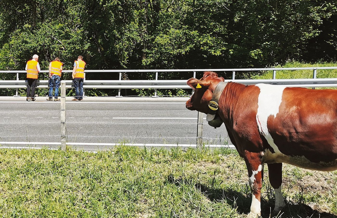 Kantonsangestellte bei der Begehung am Passwang  im vergangenen Juni. Seither ist Baustopp.(Bild sb)