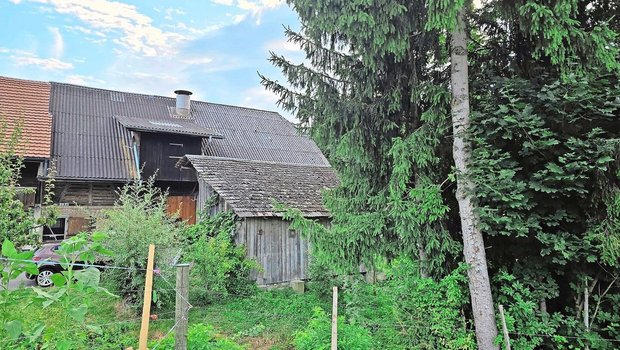 So idyllisch das Wohnen in Waldnähe sein kann, bringt es auch ein gewisses Risiko mit sich – zum Beispiel wenn ein Baum auf die Remise fällt.       