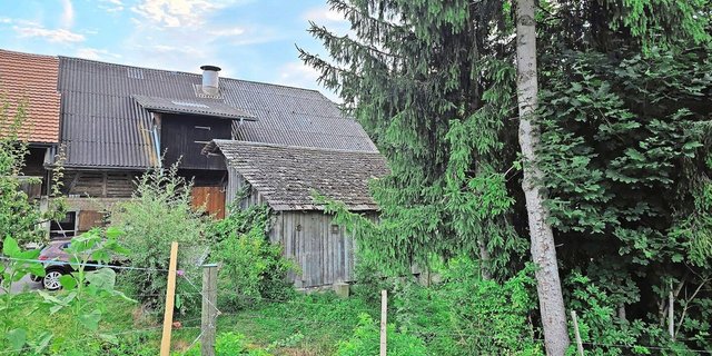 So idyllisch das Wohnen in Waldnähe sein kann, bringt es auch ein gewisses Risiko mit sich – zum Beispiel wenn ein Baum auf die Remise fällt.       