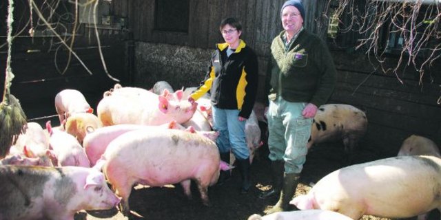 Hans und Ursula Feuz inmitten ihrer «Kräuterschweine». Alle Ferkel werden auf dem Betrieb Bärlischwand gemästet; deren Fleisch wird direkt ab Hof verkauft. (Bild Ruth Bossert)