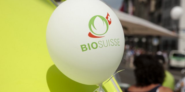 Der Zuwachs an Marktanteilen geht für Bio Suisse munter weiter, allerdings stockte es 2019 bei Milch und Fleisch. (Bild Archiv)