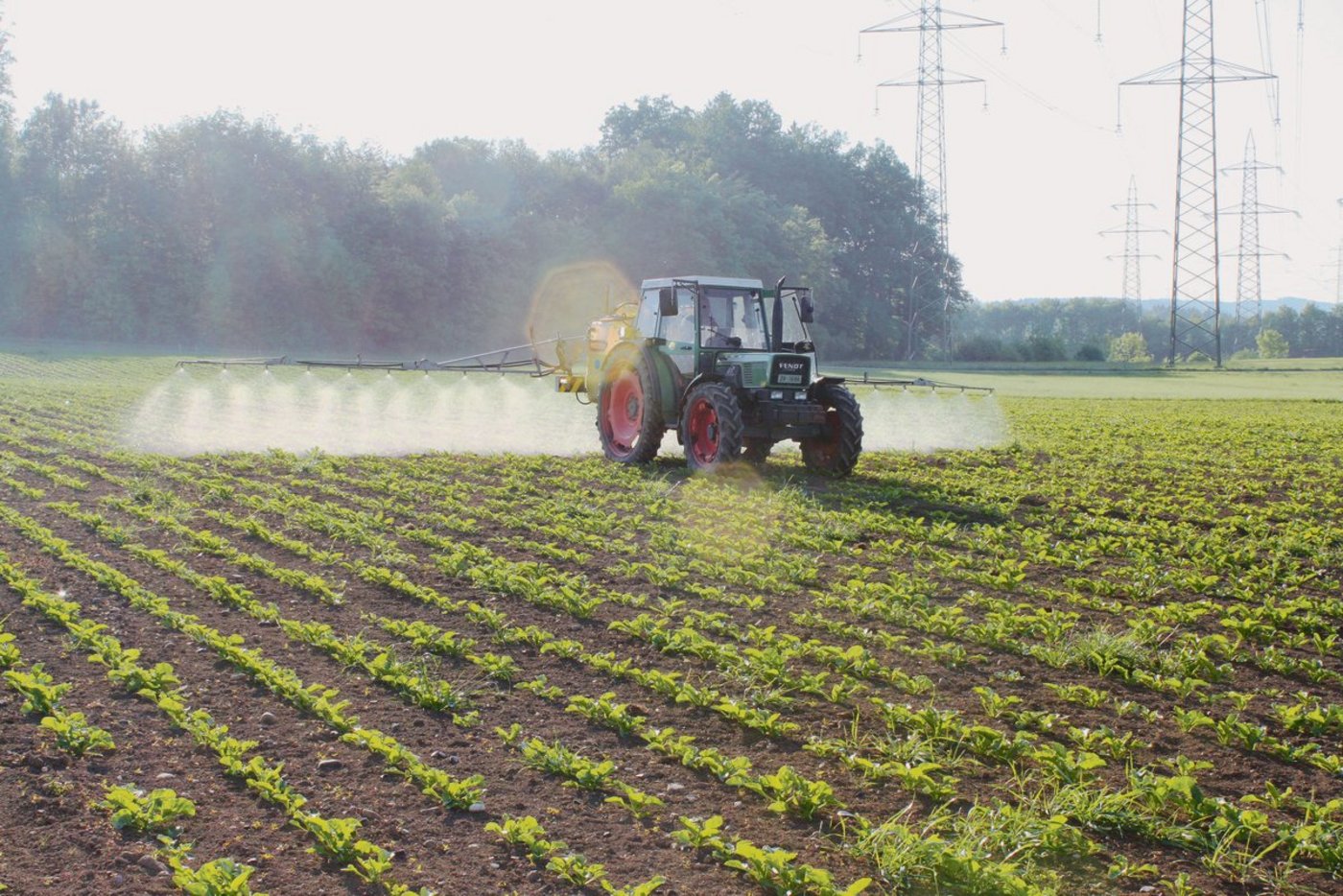 Das Bild zeigt den Einsatz von Pflanzenschutzmitteln in einer Zuckerrübenkultur. Mit den Diskussionen um die Trinkwasser-Initiative und den Wirkstoff Chlorothalonil hat die Diskussion um synthetische PSM an Brisanz gewonnen.(Bild BauZ)