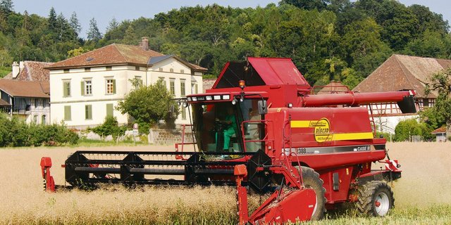 Wer sich für den nachhaltigen Inlandanbau von Raps mit sicheren Erträgen anstelle von Palmöl einsetzt und ausspricht, sollte sich auch zu einem Pflanzenschutz bekennen. (Bild Roland Müller)