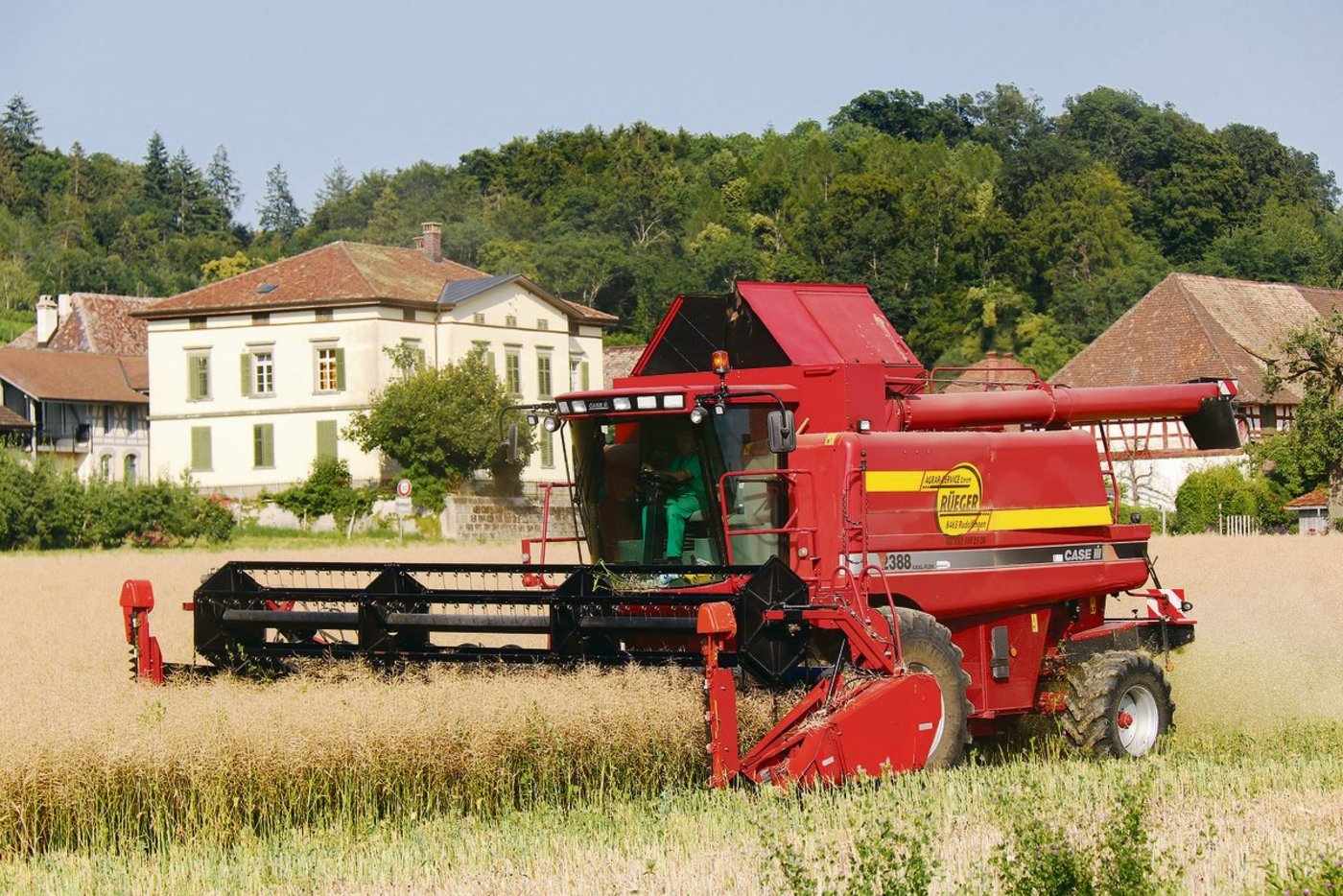 Wer sich für den nachhaltigen Inlandanbau von Raps mit sicheren Erträgen anstelle von Palmöl einsetzt und ausspricht, sollte sich auch zu einem Pflanzenschutz bekennen. (Bild Roland Müller)