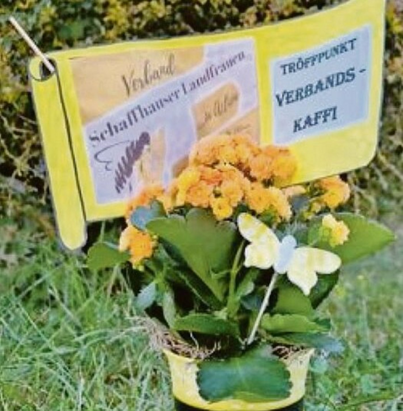 Deko fürs Verbands-Kaffi in Herblingen.