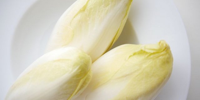 Die Geschichte des Chicorées ist eng mit Belgien verknüpft. (Bild Pixabay)