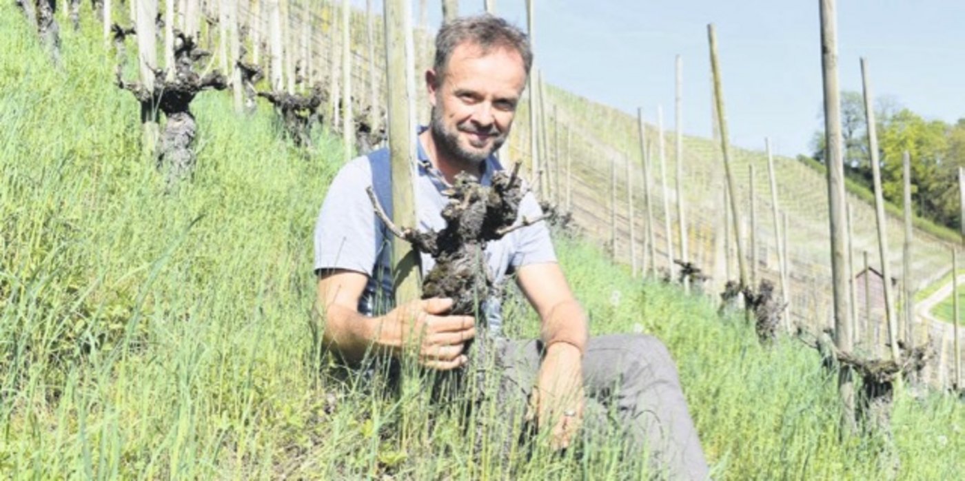 Holger Herbst ist auf Umwegen zum Weinbau gekommen. (Bild Lara Aebi)