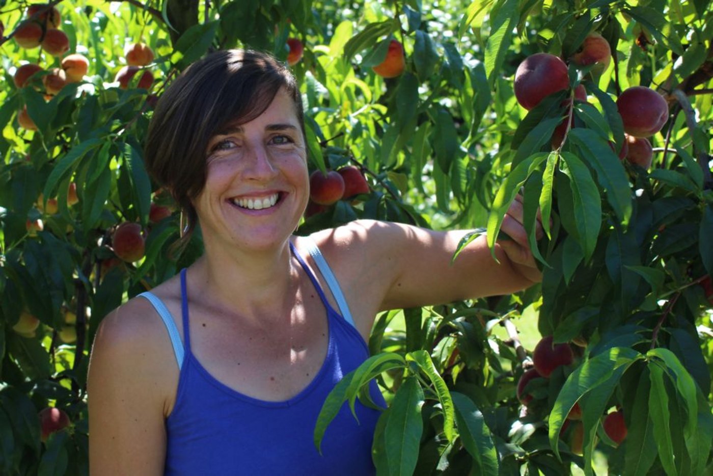 Manuela Bleuler ist zufrieden: Die herrlich duftenden Pfirsiche sind heuer besonders schön. (Bild: sbw)
