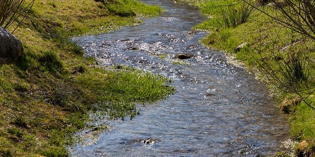 Um die Gewässerbelastung zu reduzieren sei ein ganzes Bündel an Massnahmen notwendig: "Dazu zählen der Ersatz von besonders kritischen Stoffen, eine generelle Reduktion des Einsatzes von Pflanzenschutzmitteln und das Minimieren von Verlusten aus den Anbauflächen", so Christian Stamm. (Bild pixabay)