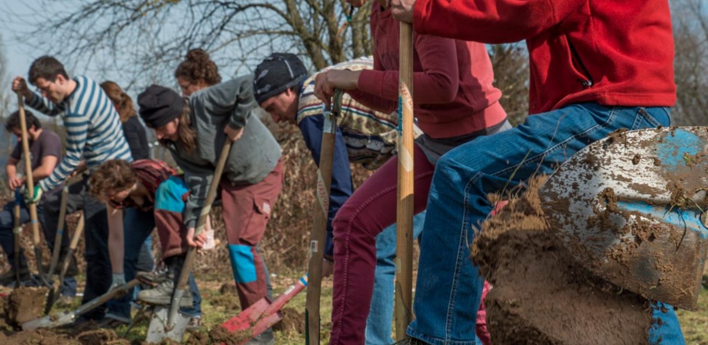 Die Mitglieder haben rund fünf Einsätze pro Jahr auf einem "solidarischen" Betrieb. Als Gegenleistung erhalten sie Gemüse und Früchte. (Bild solawi.ch)